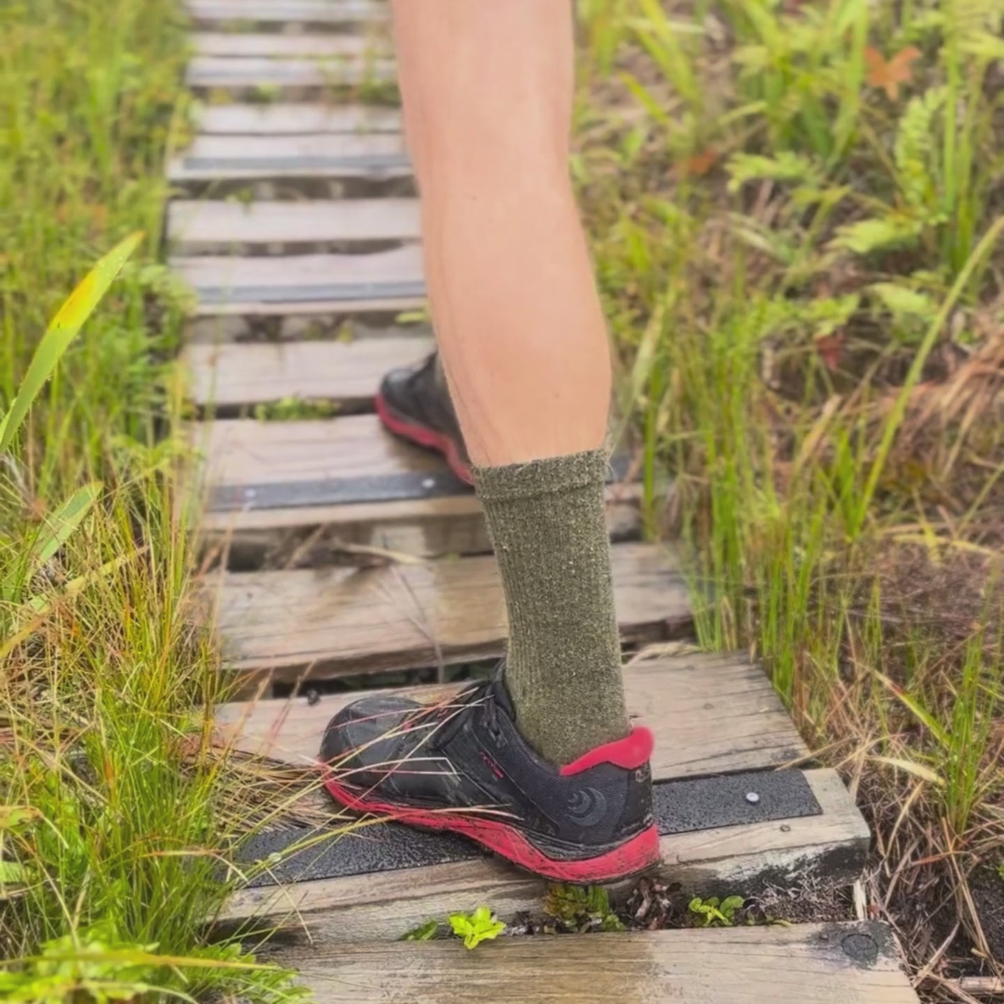 Olive Drab merino toe socks